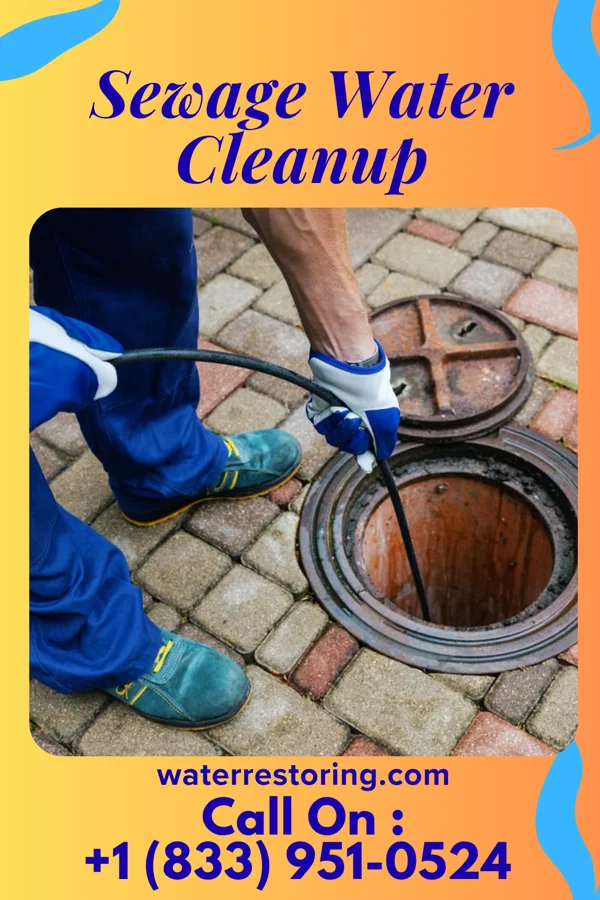 Sewage Water Cleanup in Ravenel, SC